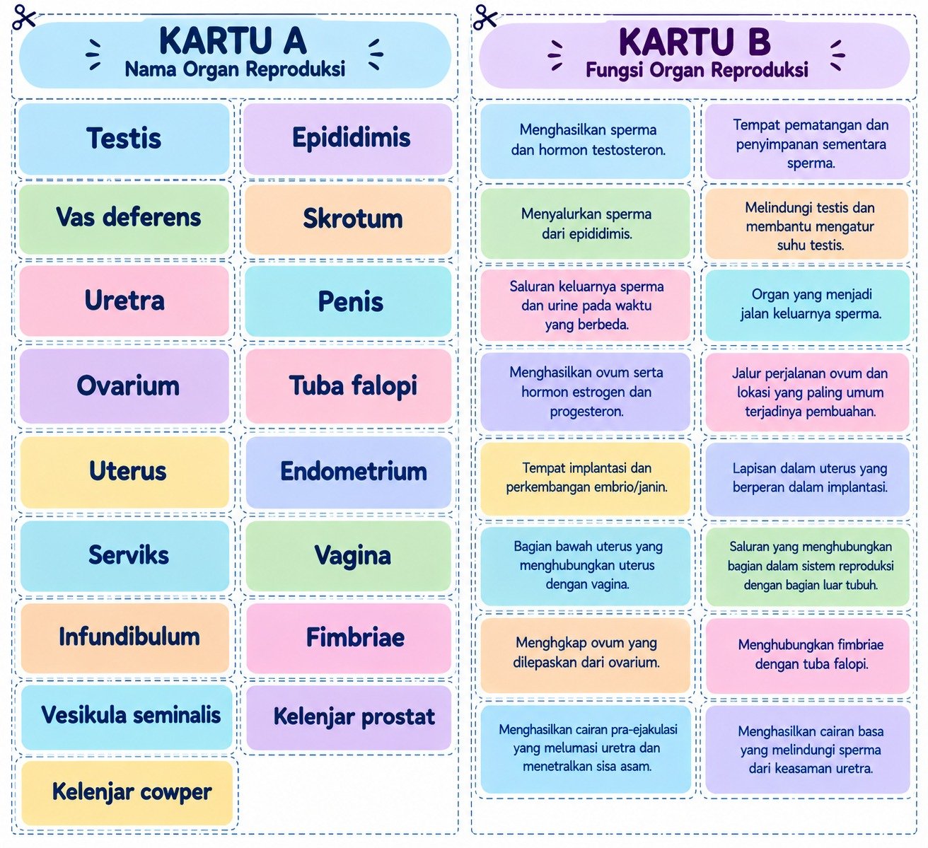Modul Ajar IPAS Kelas 9 SMP